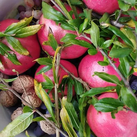 Hephaestus Appartments -a1 Appartamento *