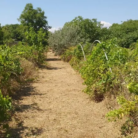 Hephaestus Appartments -a1